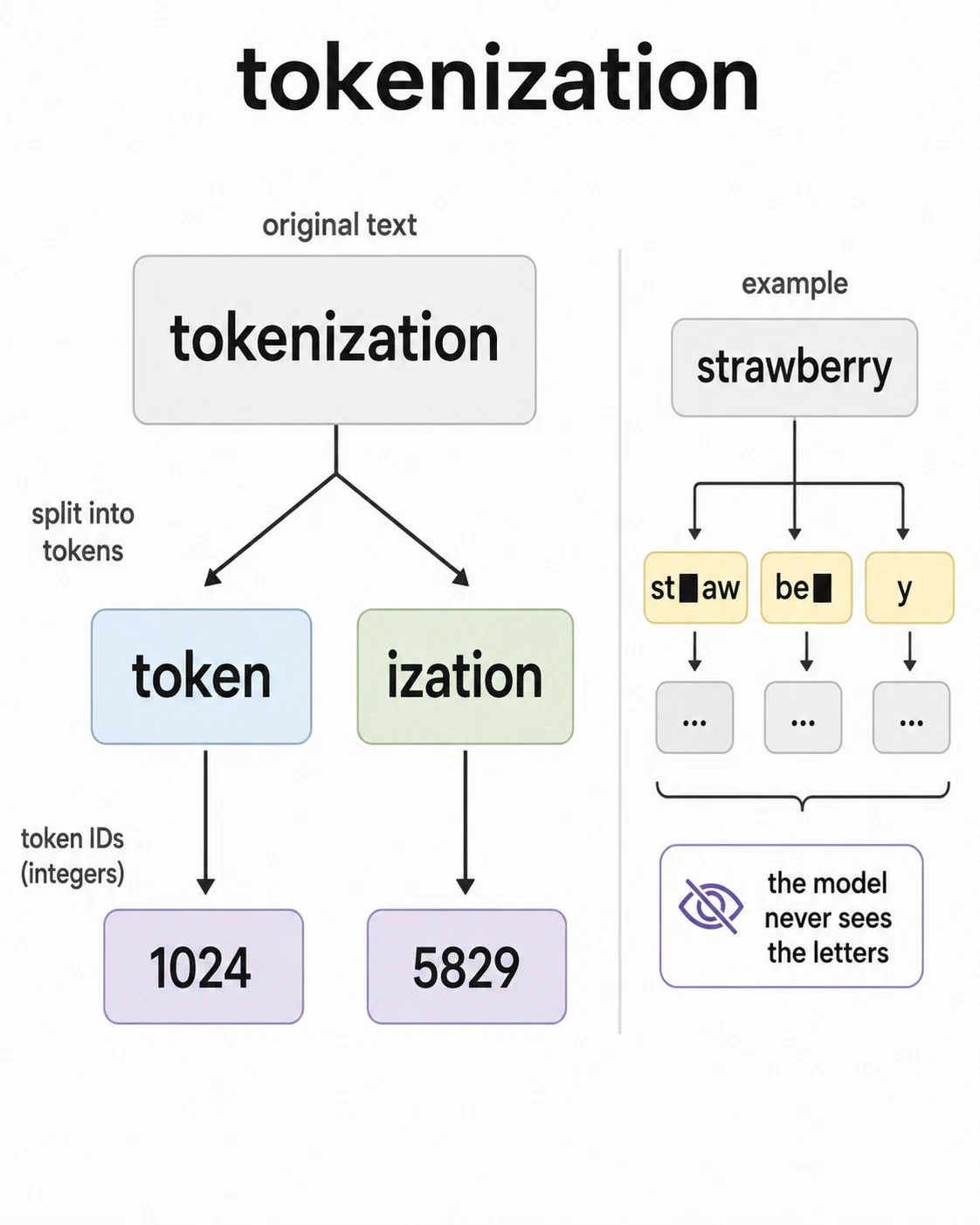 分词把文本转换成 token ID
